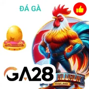 8xbet Game 07